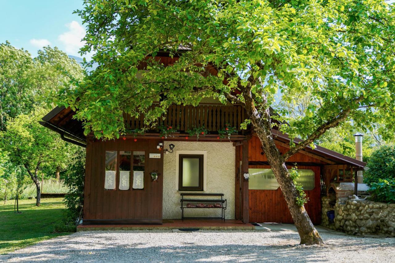 Holiday House Zeleni Gaj โบเว็ก ภายนอก รูปภาพ