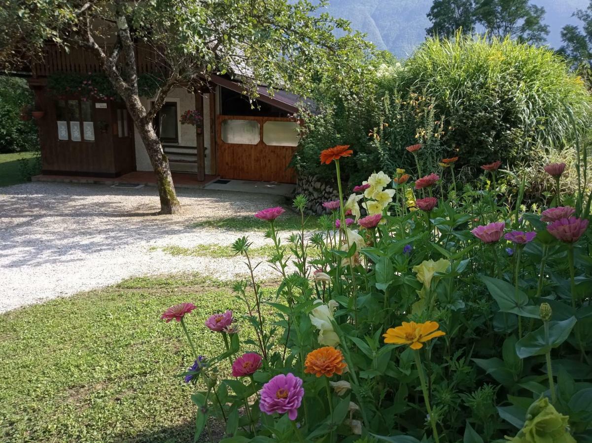 Holiday House Zeleni Gaj โบเว็ก ภายนอก รูปภาพ